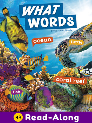 cover image of What Words